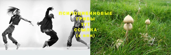 индика Аркадак