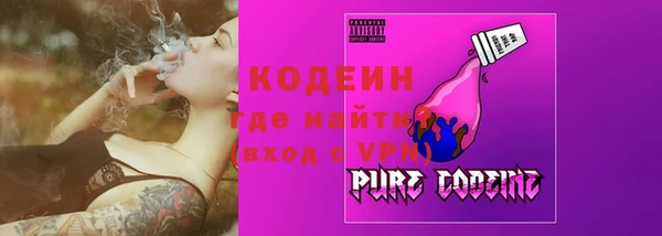 индика Аркадак