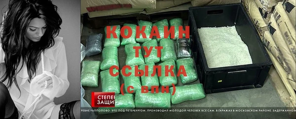 индика Аркадак