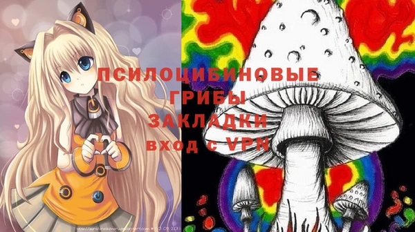 индика Аркадак